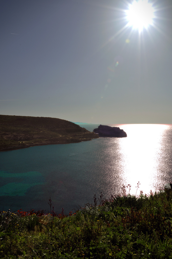 Cala Mosca vista dal faro