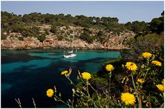 Cala Pi ...springlike