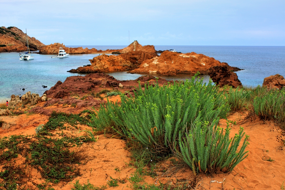 Cala Pregonda (2)