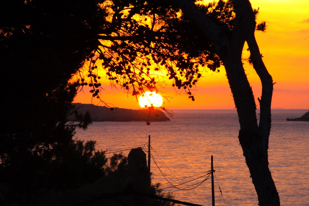 Cala Ratjada 