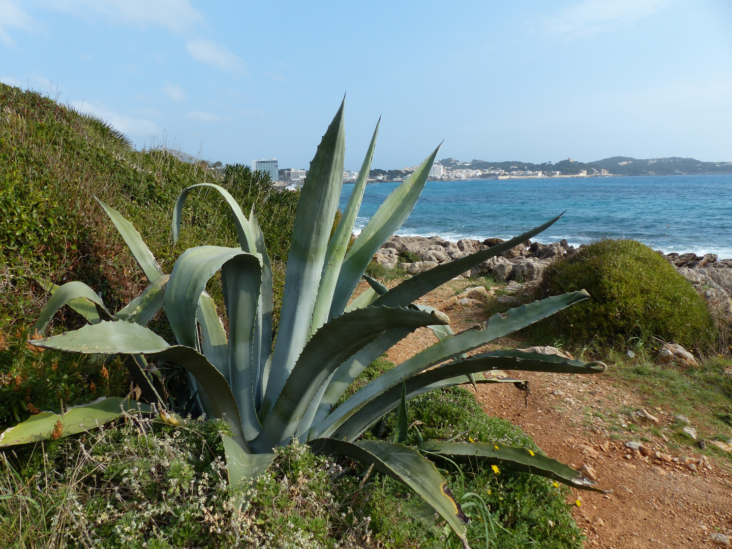 Cala Ratjada