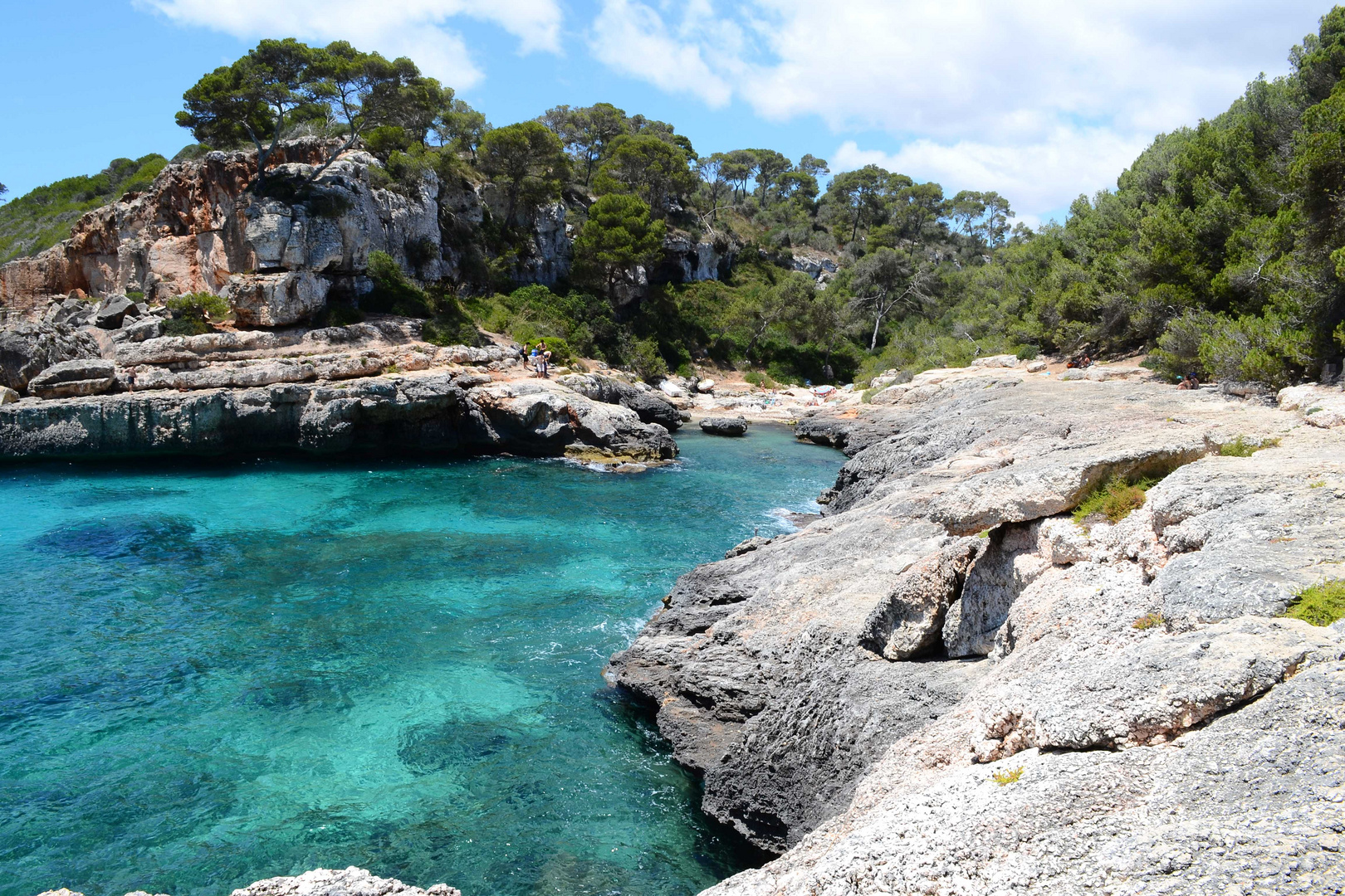 Cala S' Amonia