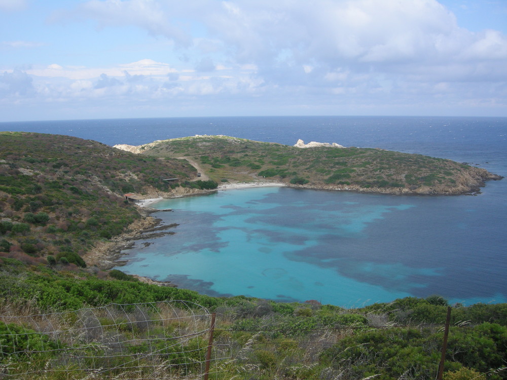 cala sabina -Asinara -Sardegna