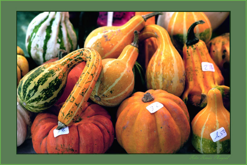 Calabazas