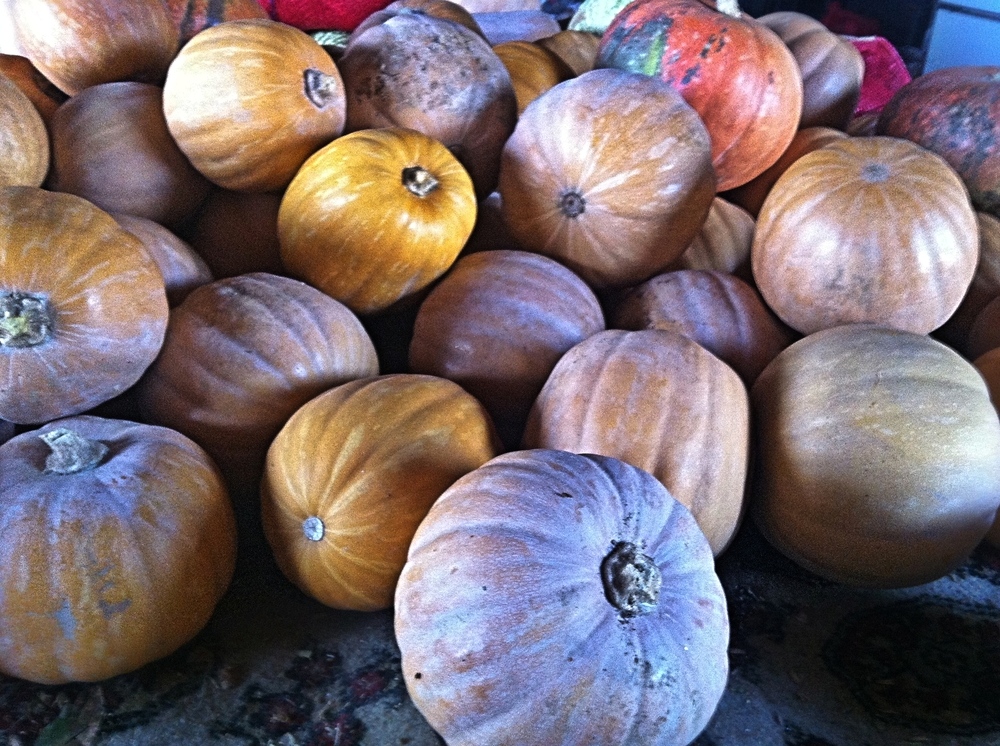 Calabazas