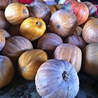 Calabazas