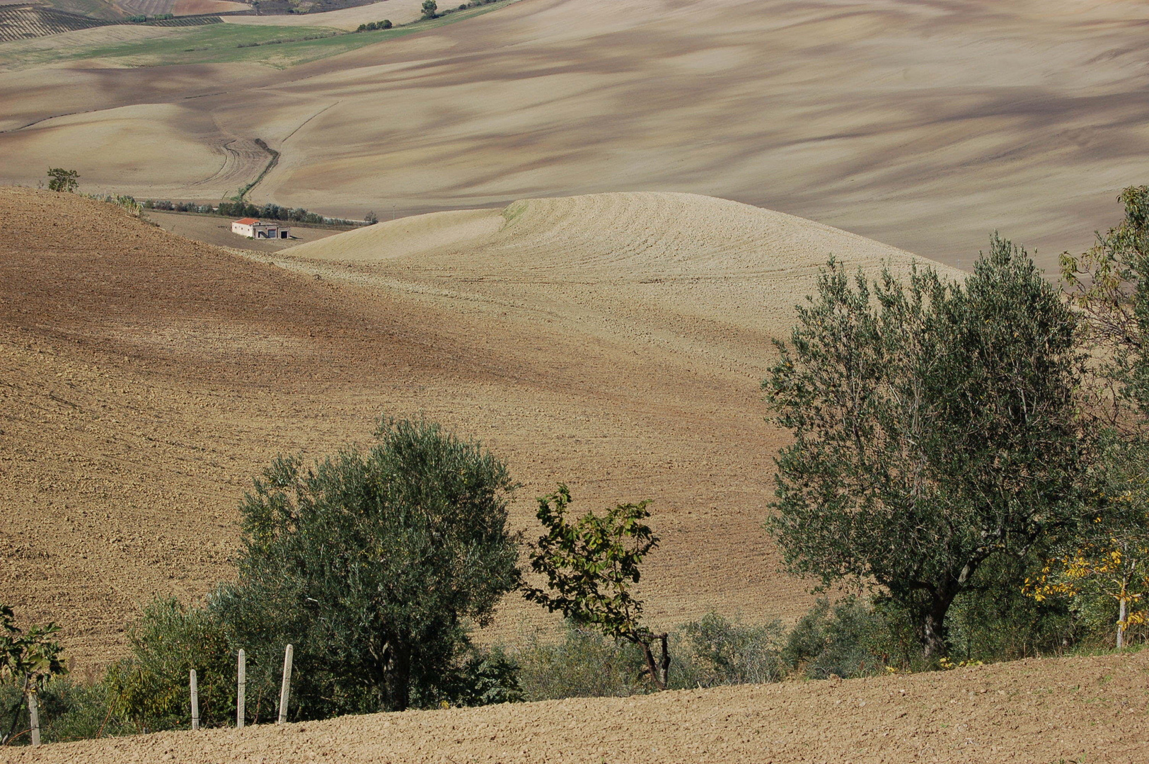 Calabria