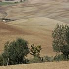 Calabria