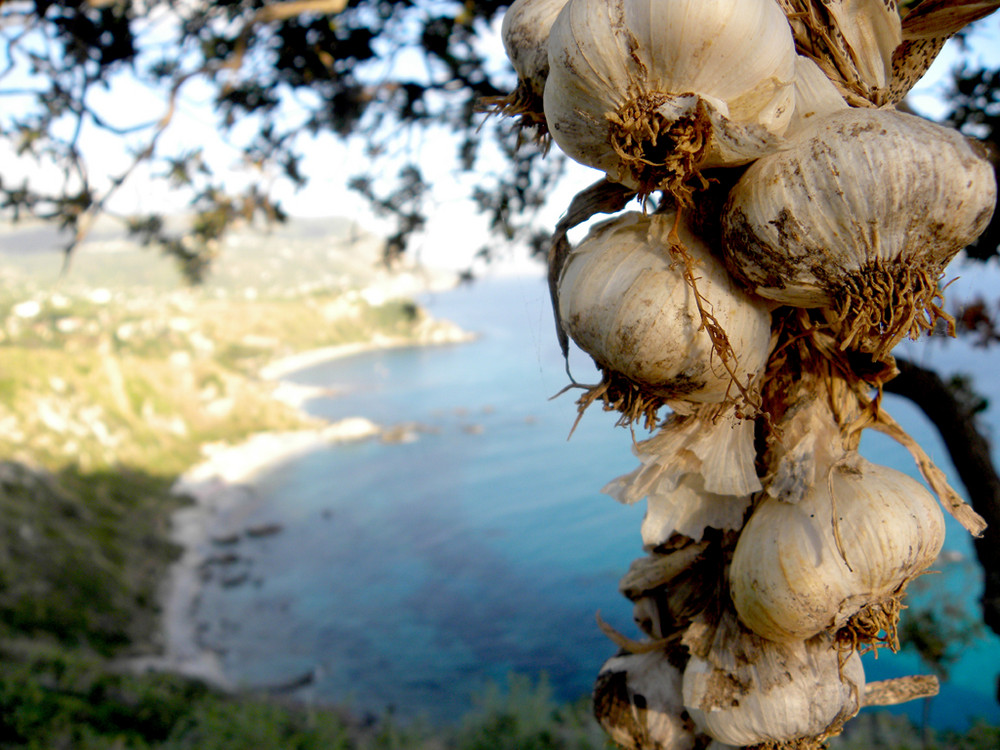 Calabrifornia garlic - Tropea capo vaticano