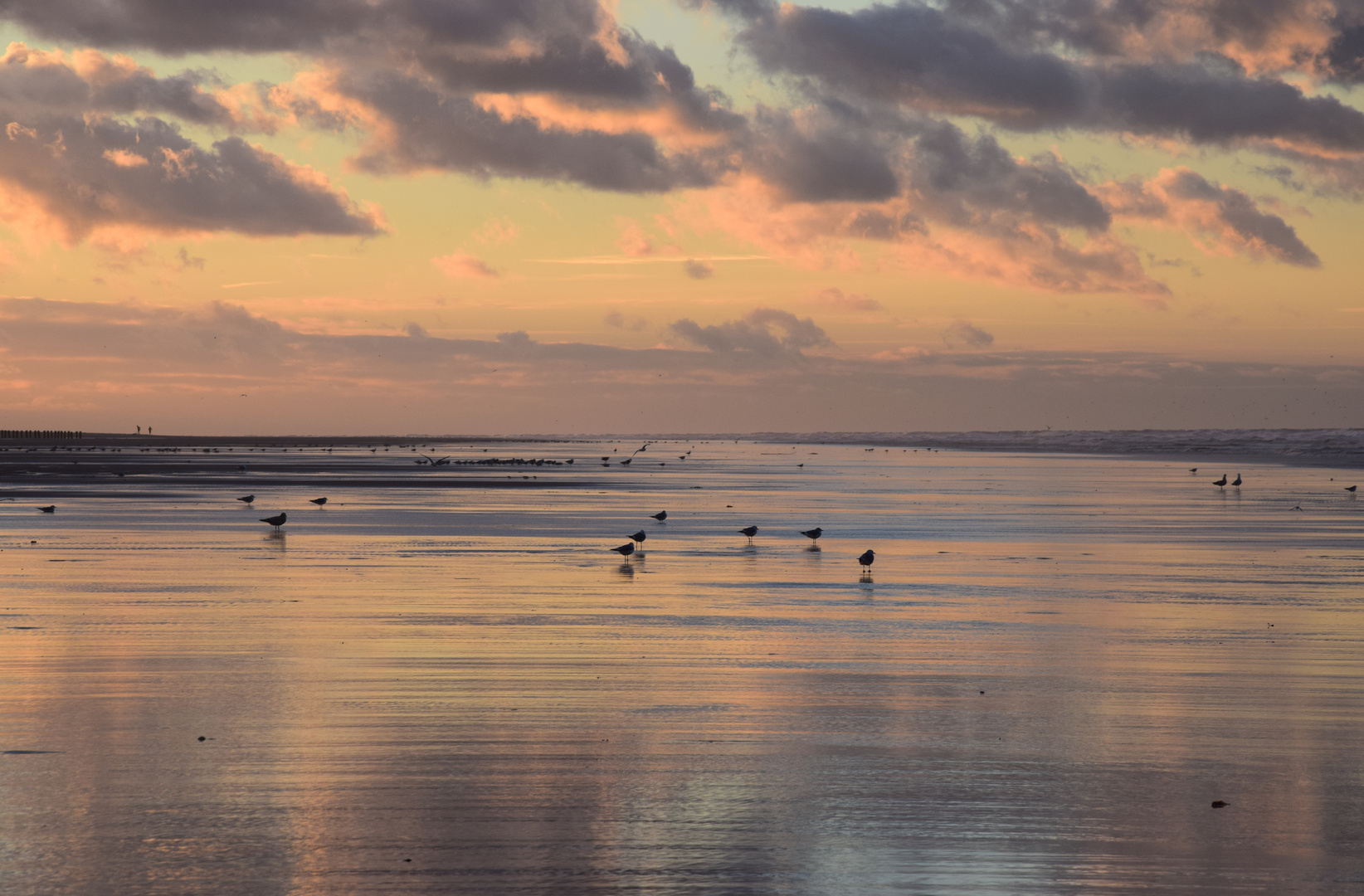 Calais Plage n°1