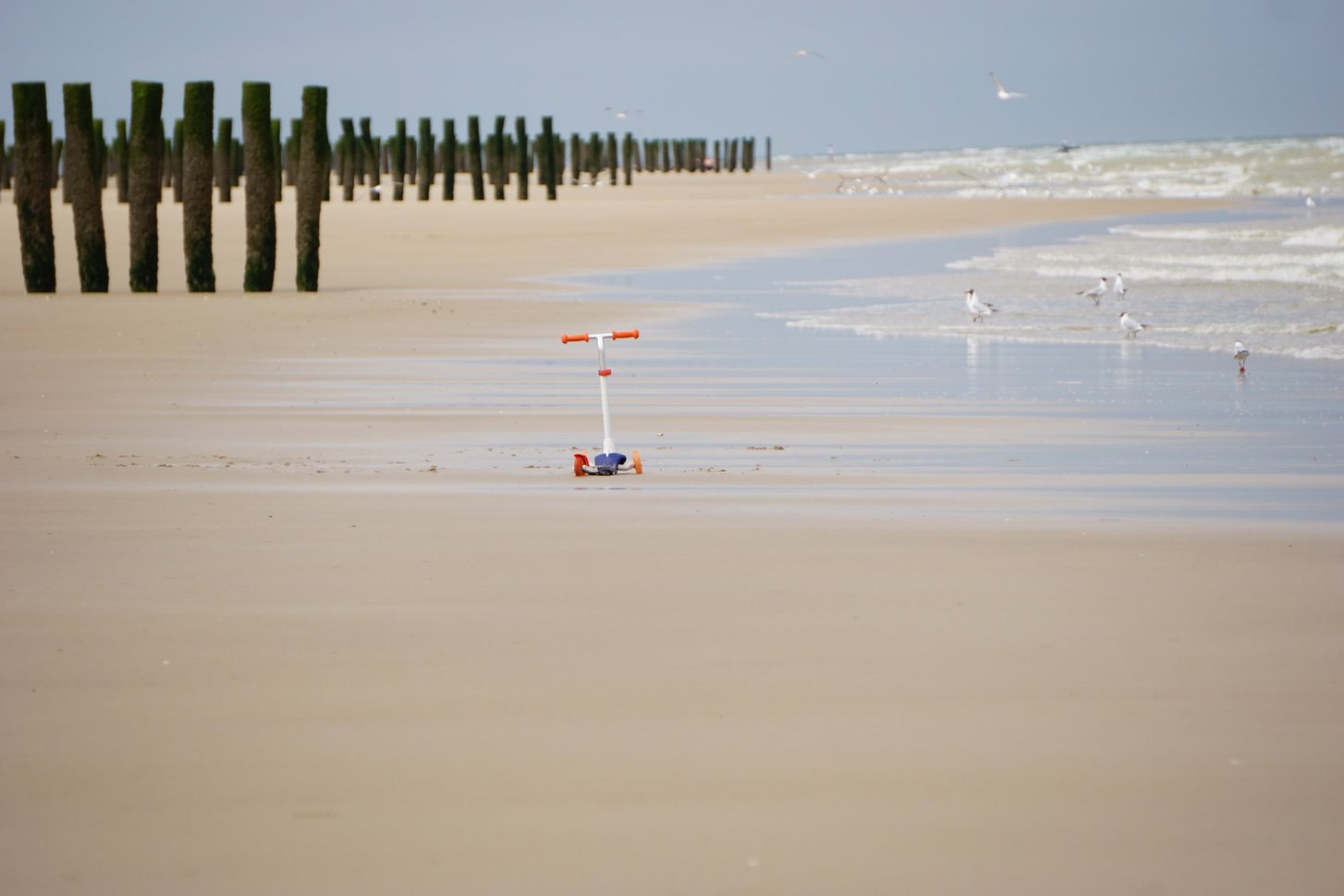 Calais_4_Beach_Roller_2