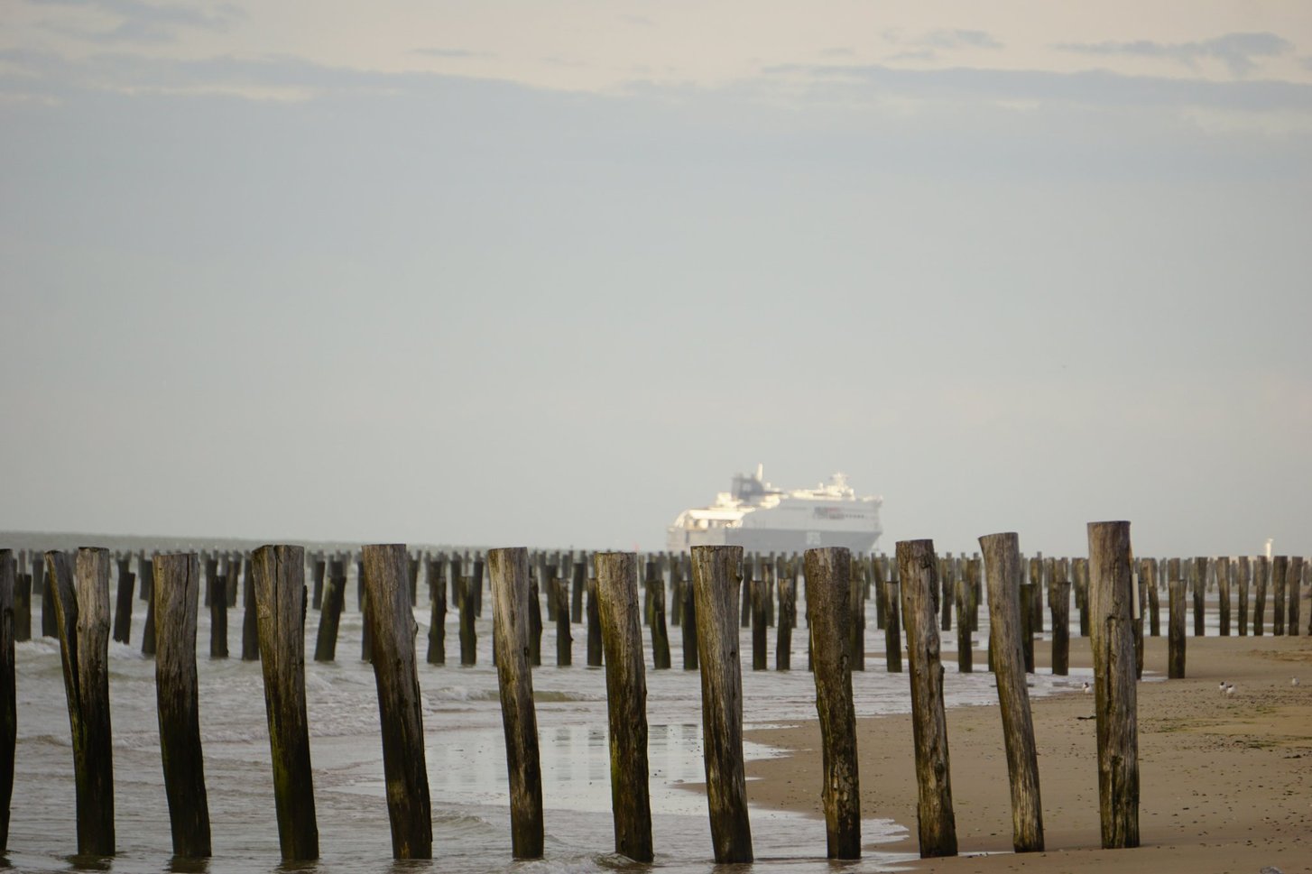 Calais_6_Sailing_Ferry_4