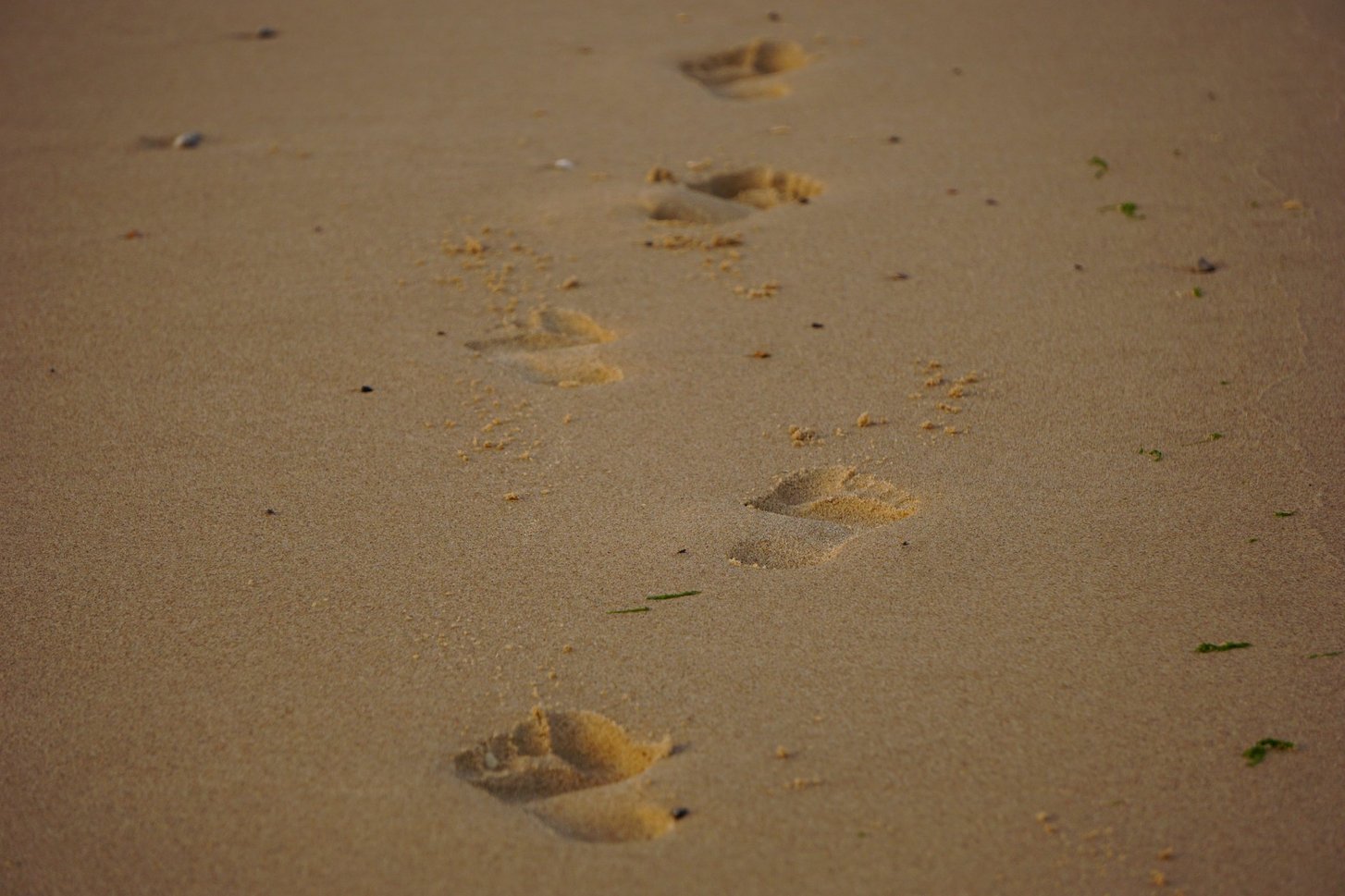 Calais_Spuren im Sand_5