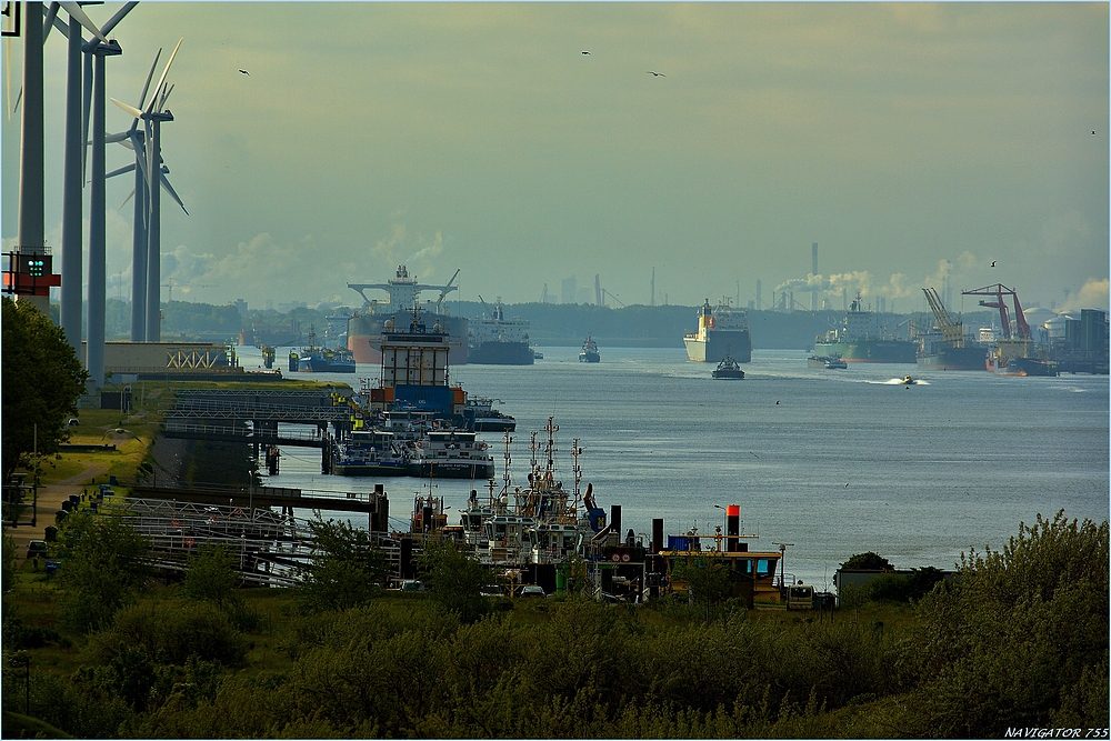 Calandkanal / Europoort / Rotterdam