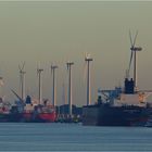 Calandkanal in ersten Licht. Rotterdam