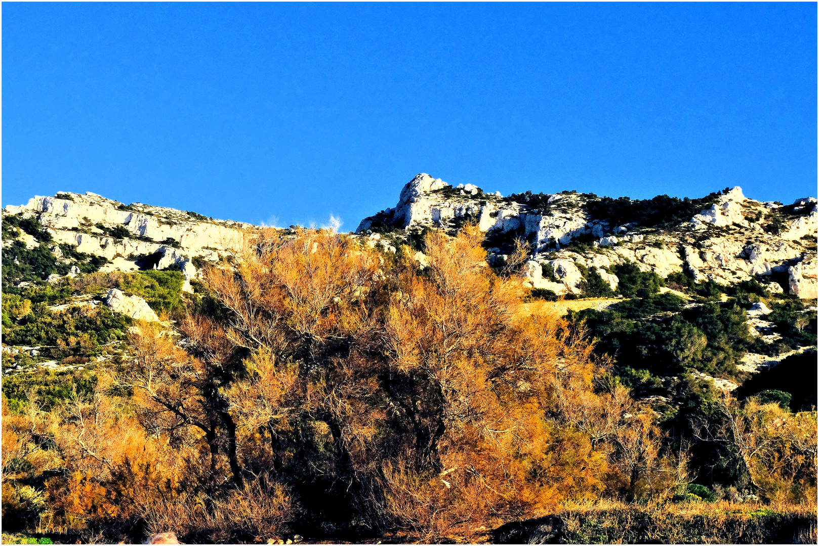 Calanque d'automne