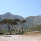 Calanque de Sormiou 2