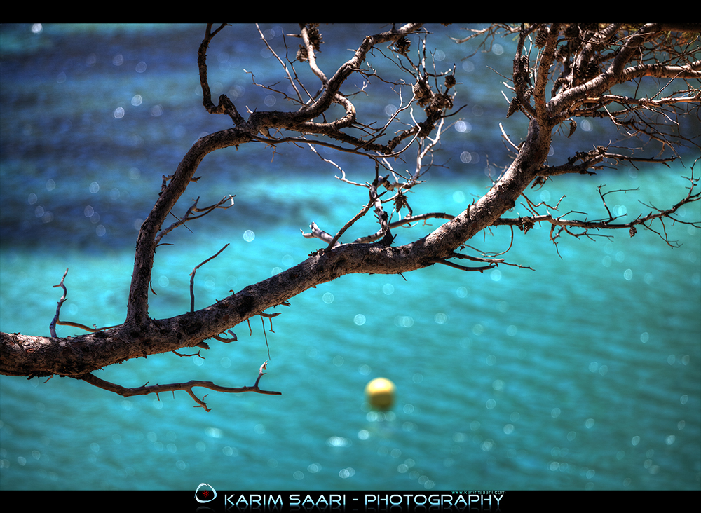 Calanque de Sormiou