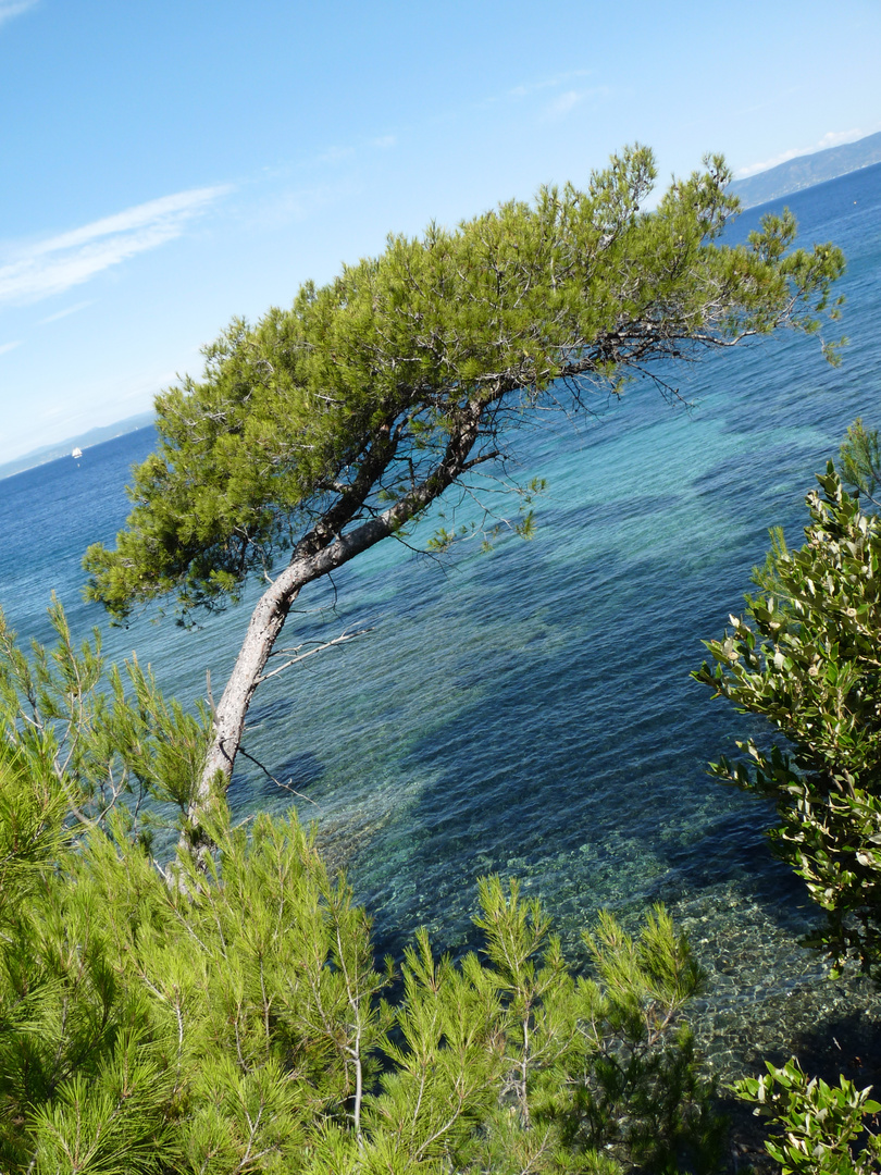 Calanque, Port-Cros