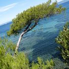 Calanque, Port-Cros