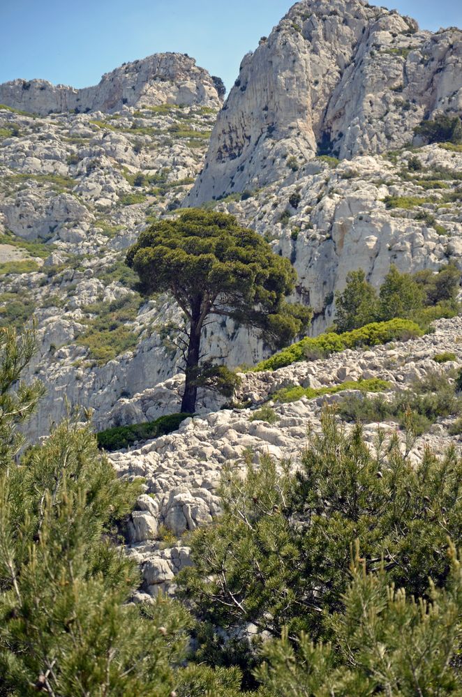 CALANQUE SUGITON