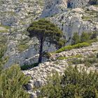 CALANQUE SUGITON