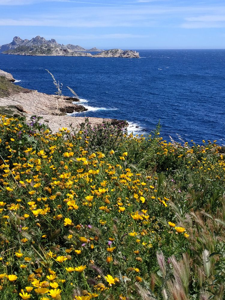 Calanques (2)