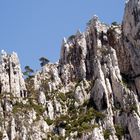 calanques de Cassis