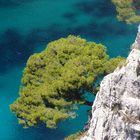 Calanques En-Vau