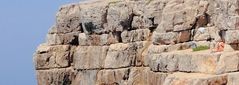 Calanques Kreidefelsen bei La Ciotat