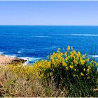 Calanques pascales