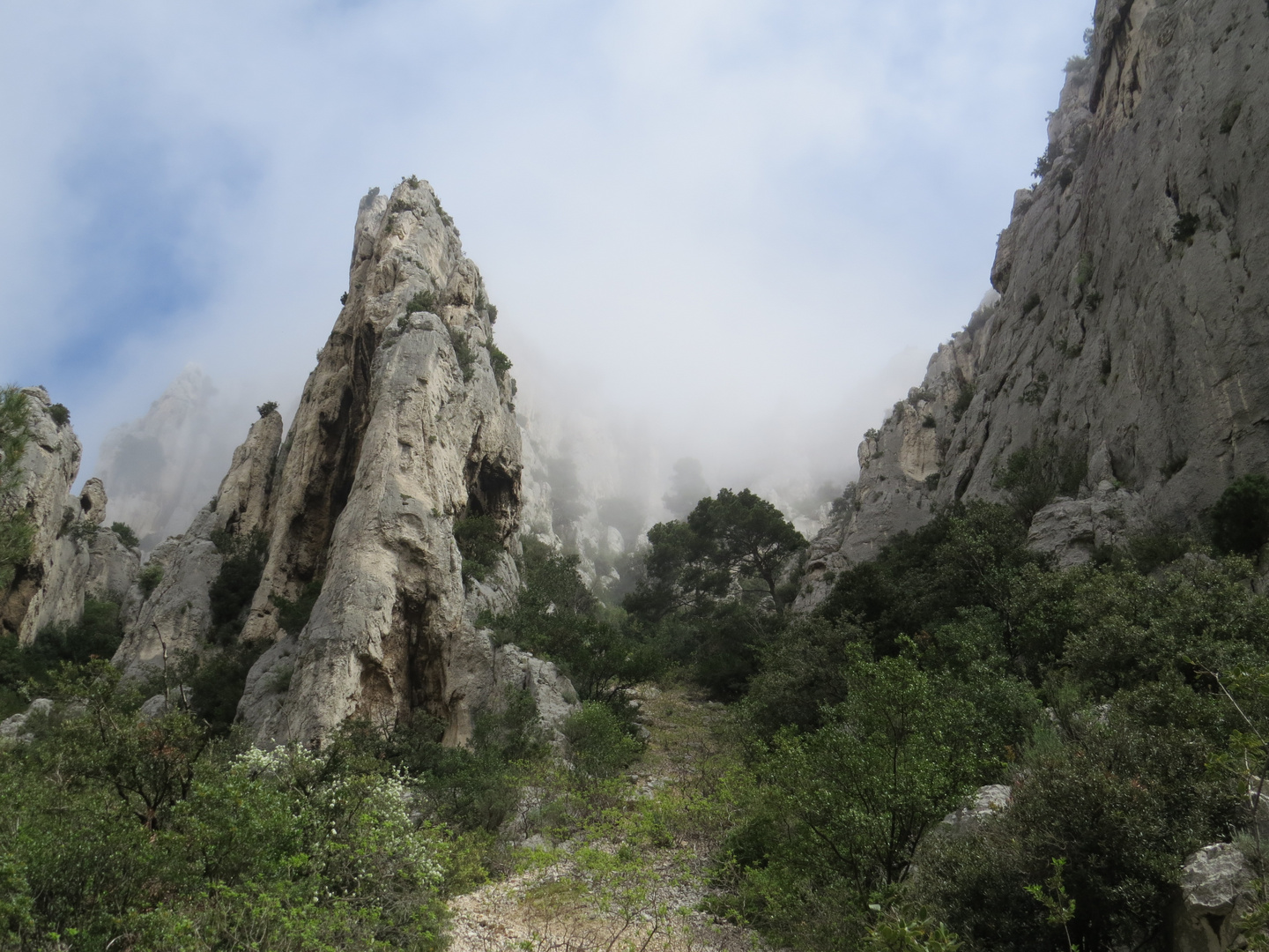 Calanques zwischen Cassis und Marseille bei Nebel