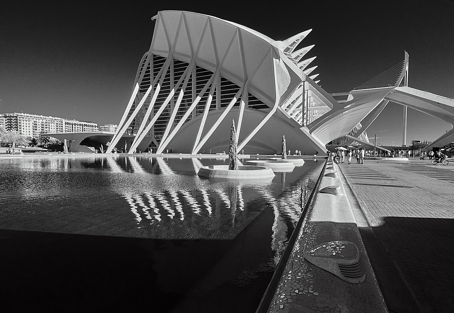 Calatrava 16