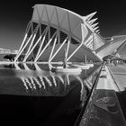 Calatrava 16