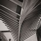 Calatrava 3