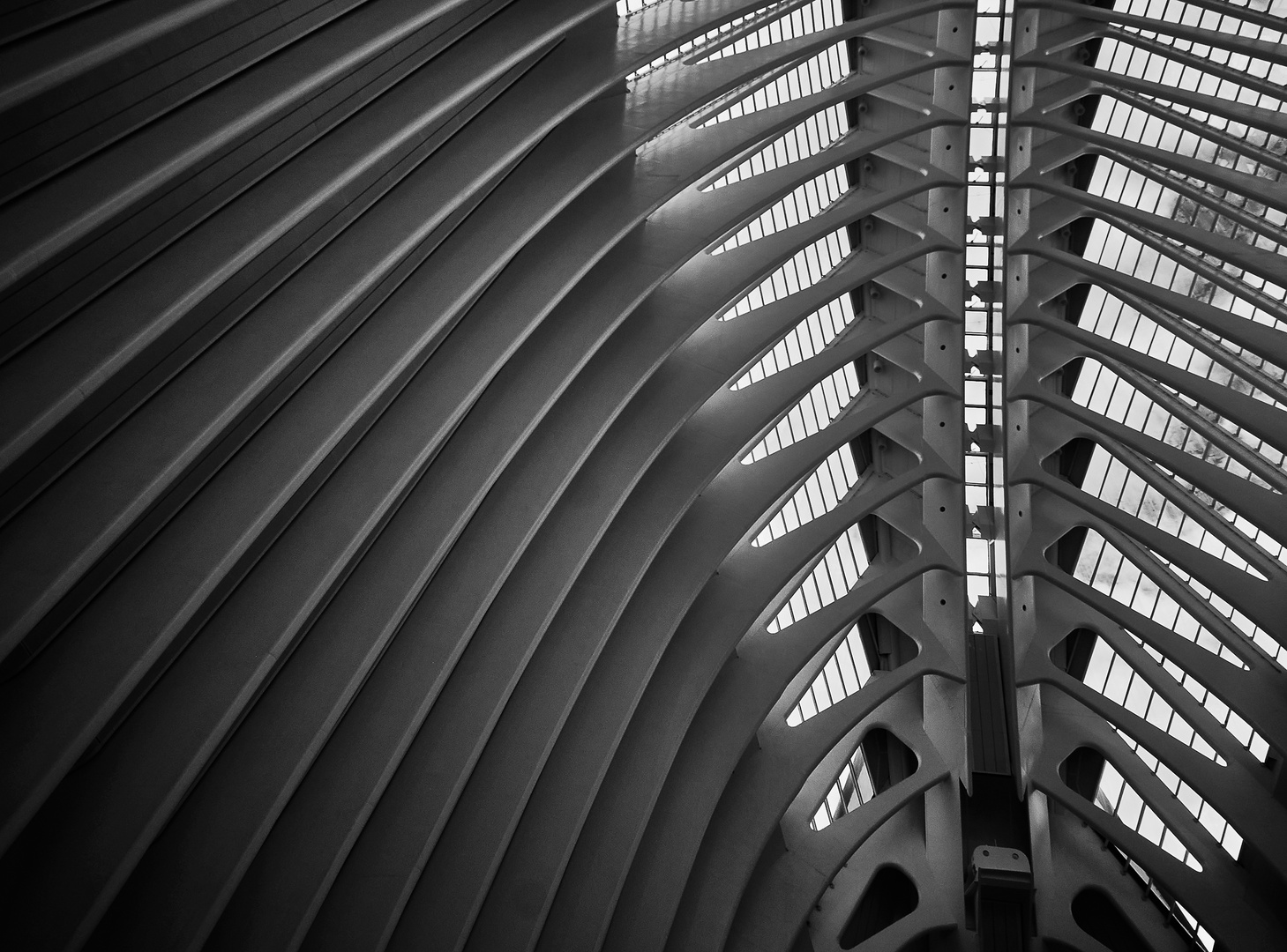 Calatrava 4 Foto & Bild architektur, stadtlandschaft