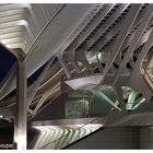 Calatrava again