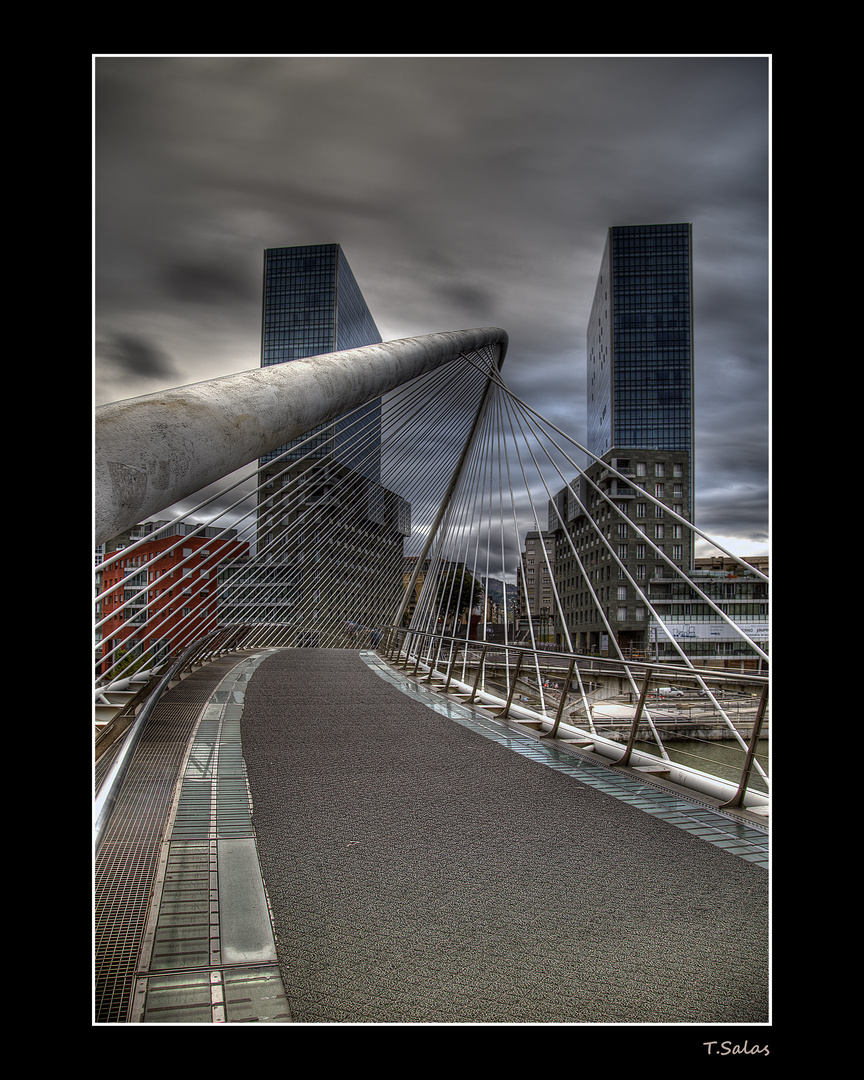 Calatrava Bridge