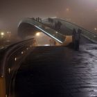 Calatrava Bridge