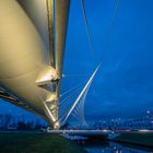 Calatrava Bridge Hoofddorp