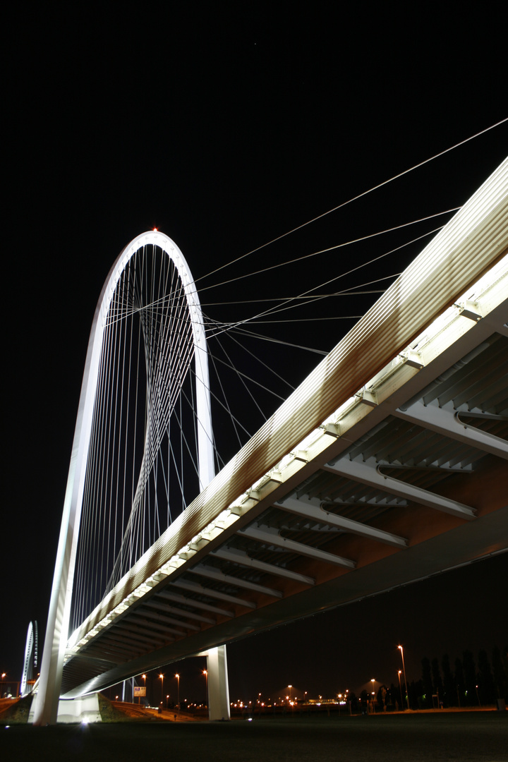 calatrava bridge in the night