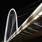 calatrava bridge in the night