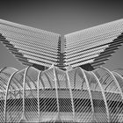 Calatrava-Flügel