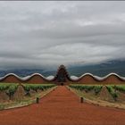 Calatrava in der Rioja