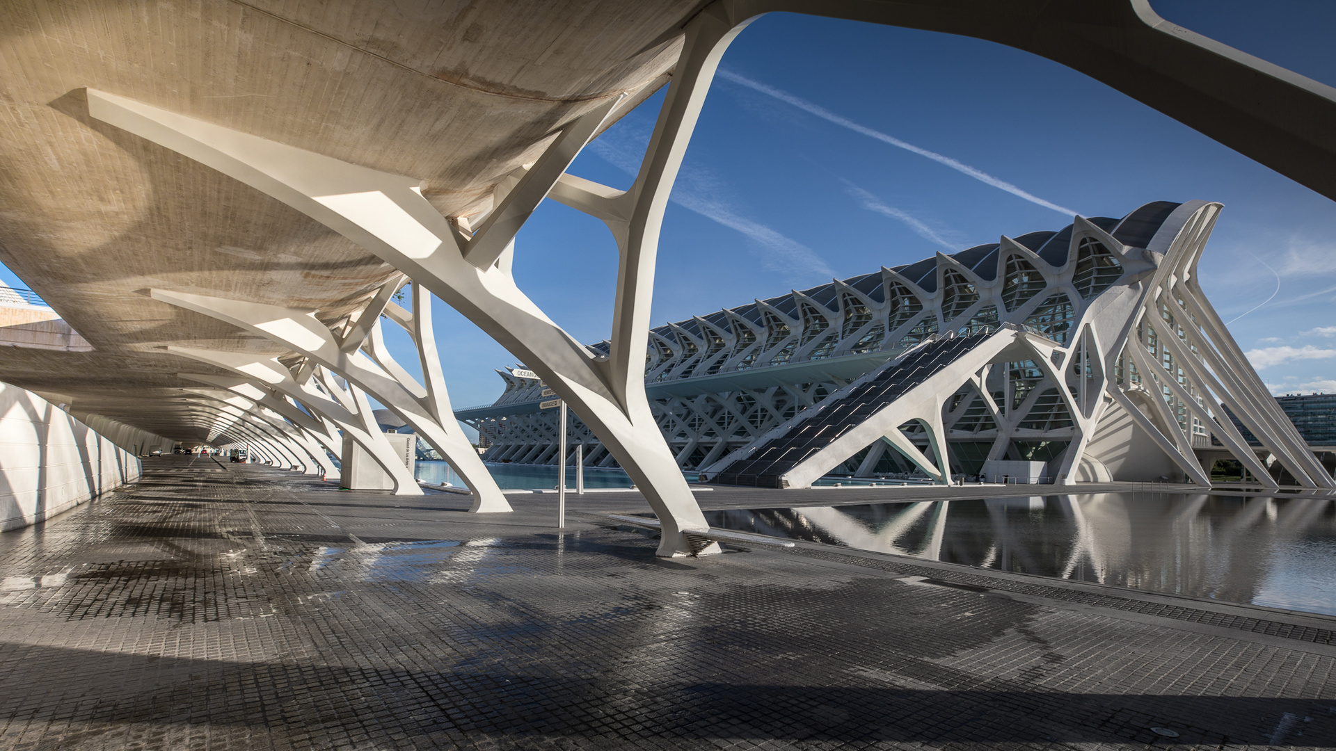 Calatrava in Valencia