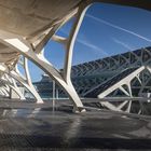 Calatrava in Valencia