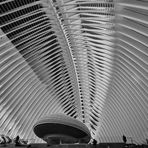 Calatrava Style