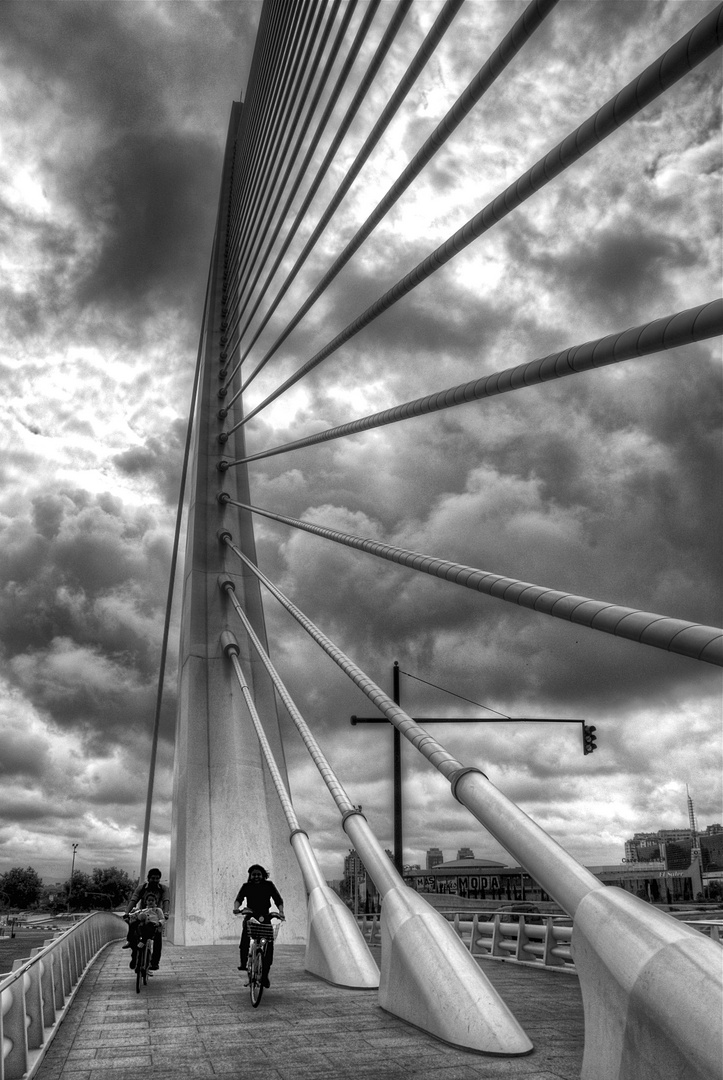 CALATRAVA'S BRIDGE