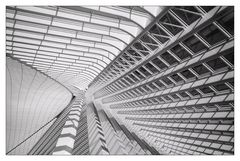 Calatravas lines - 3