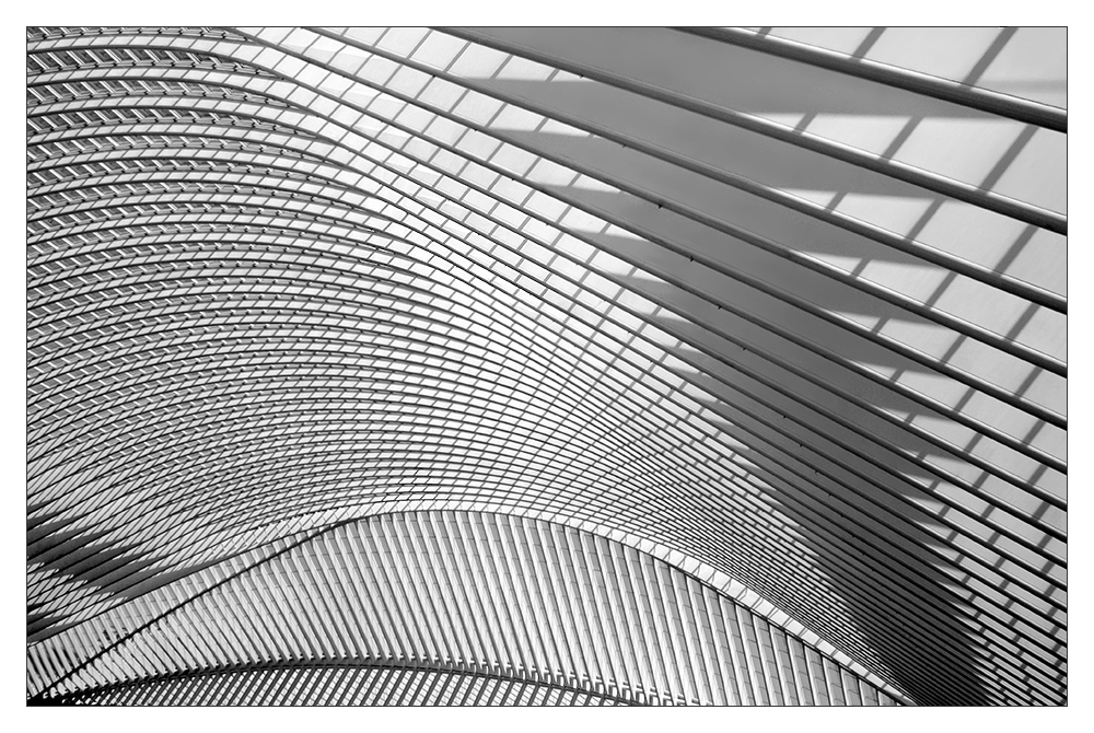 Calatravas lines - 4
